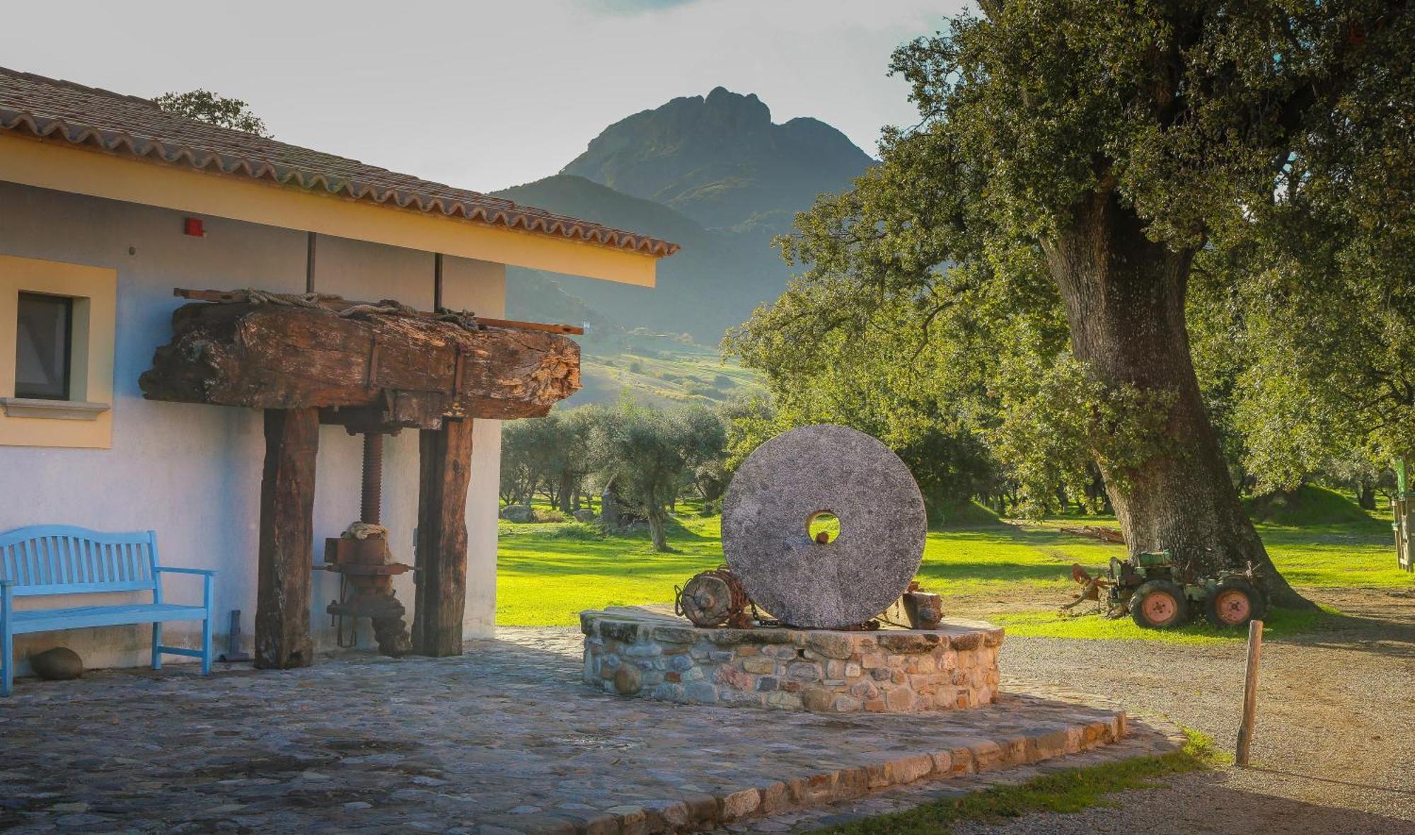 Barone Gr Macri Agriturismo Modi Gerace Dış mekan fotoğraf