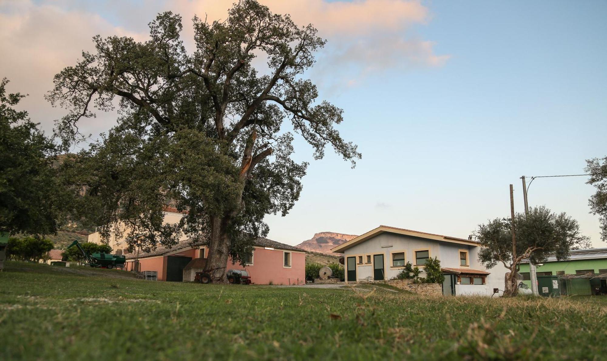 Barone Gr Macri Agriturismo Modi Gerace Dış mekan fotoğraf